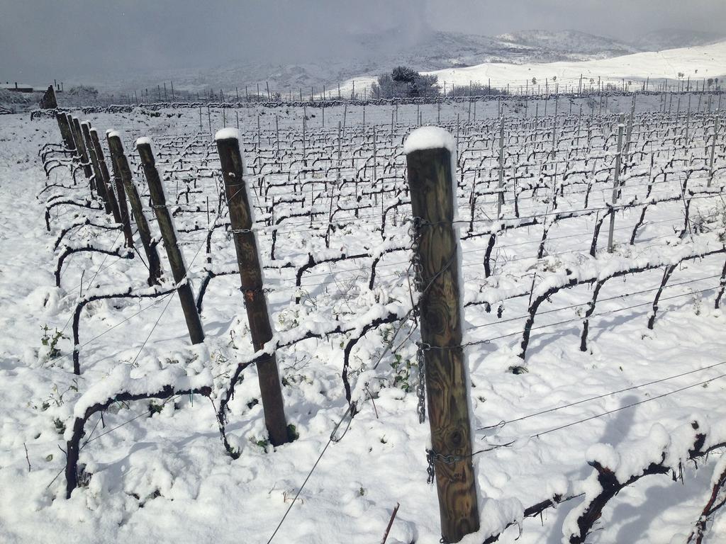 Gasthaus Feudo Vagliasindi -Wine Experience- Randazzo Exterior foto