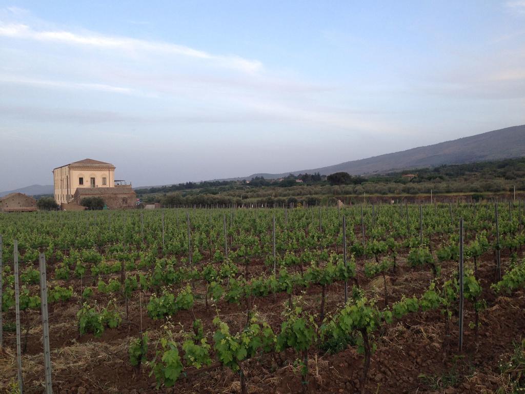 Gasthaus Feudo Vagliasindi -Wine Experience- Randazzo Exterior foto